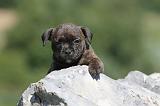 STAFFIE 097
